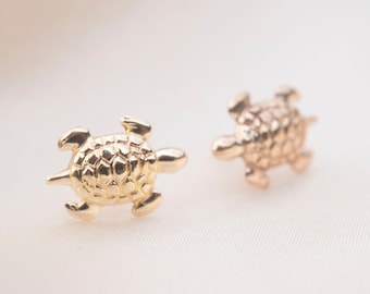 Pendientes Gold Turtle Stud, Gold Studs, Studs, Gold Studs, Earrings, Gold Filled Earrings, 14k Gold Studs, Gift for Her, 14k Solid Gold