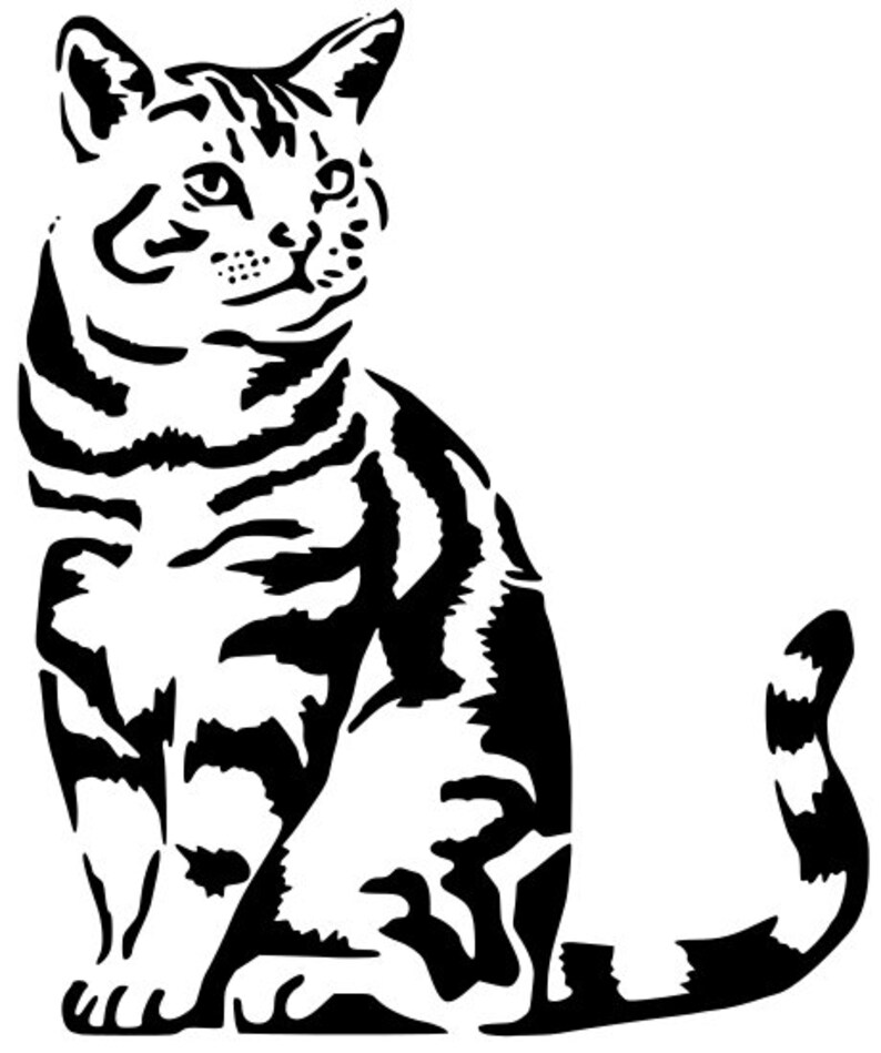 Черно белое изображение кота