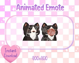 Animated Tuxedo Tuxie Pop Cat Twitch/Discord Emote & Sticker