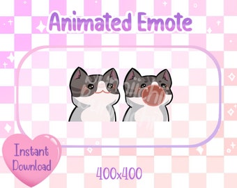 Animated Gray Tabby Pop Cat Twitch/Discord Emote & Sticker