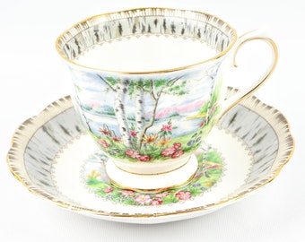 Royal Albert Silver Birch Tea Cup and Saucer, Teacup, Vintage Royal Albert