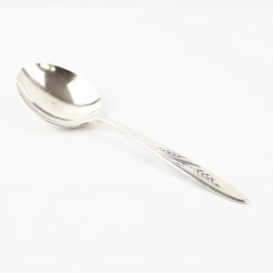 May include: A silver spoon with an ornate design on the handle. The spoon has a rounded bowl and a long, slender handle.