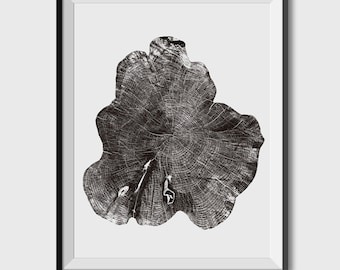 Tree Rings Black and White Photograph PRINTABLE tree rings, anniversary gift, A2 art, 8x10. Tree Rings, anniversary gift, log slice Print