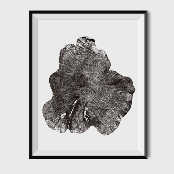 Tree Rings Black and White Photograph PRINTABLE tree rings, anniversary gift, A2 art, 8x10. Tree Rings, anniversary gift, log slice Print