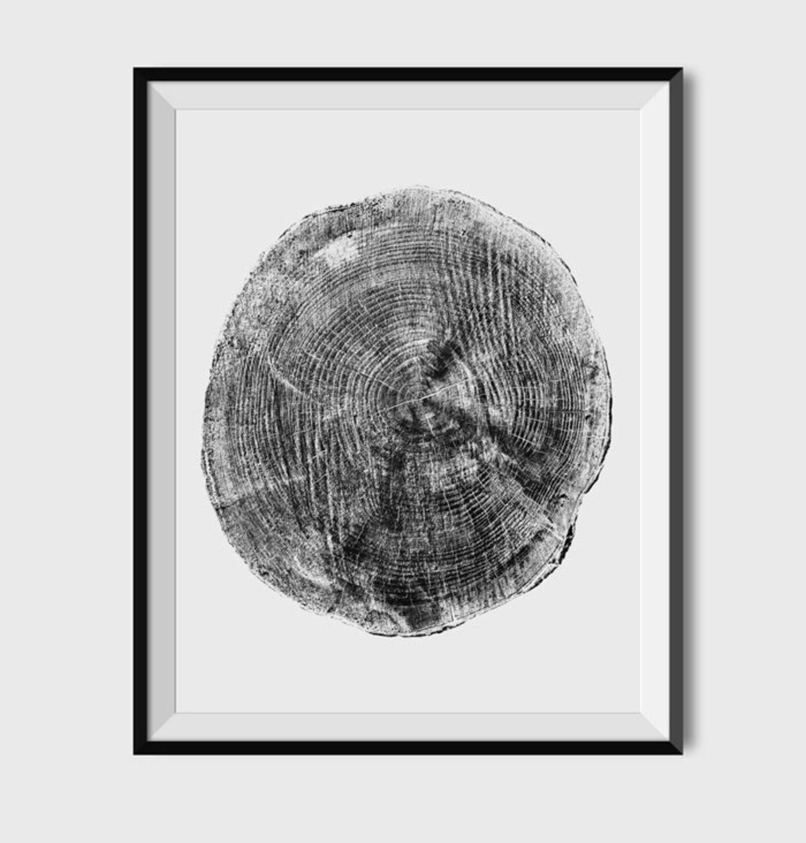 Tree Rings Black and White Photograph PRINTABLE Tree Rings Etsy