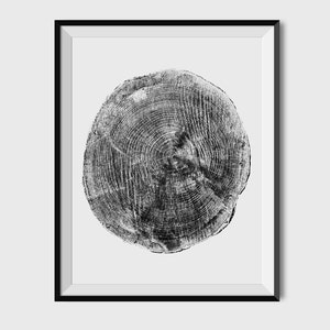 May include: Black and white photograph of a tree trunk cross-section, showing the rings of growth. The image is framed in a black frame.