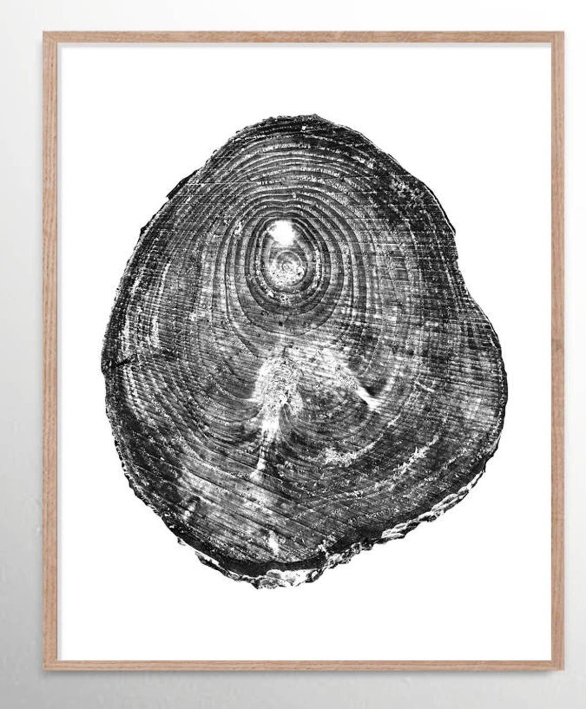 Tree Rings Print Set of 3 prints Black and White Tree Print Etsy
