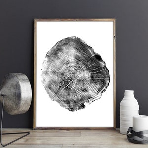 May include: Black and white print of a tree trunk cross section, showing the rings of the tree. The print is framed in a simple wooden frame.