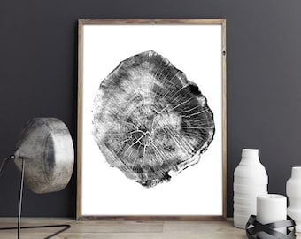 Oak Tree Rings Black and White Photograph PRINTABLE English Oak, anniversary gift, Dan Hobday, Tree Rings, Cut Log Prints A3 A2 A1 log slice