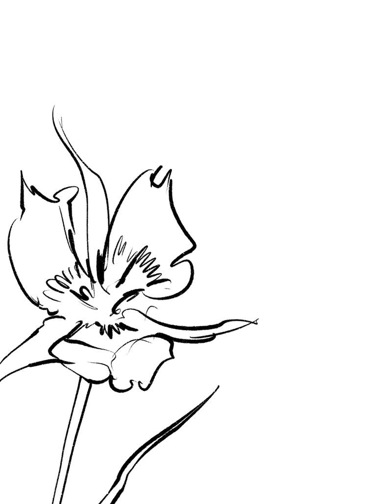 Set of 3 Prints Botanical Art Print Set 3 Flower Prints Etsy UK