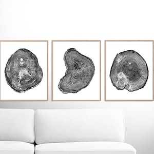 Tree Rings Print, Set of 3 prints, Black and White Tree Print PRINTABLE Pine Tree, anniversary gift, 16 x 20, Wood Prints, log slice, 8x10