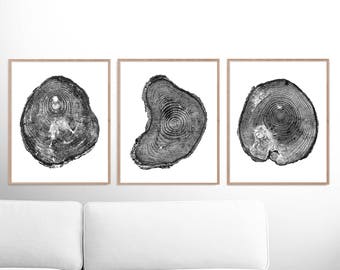 Tree Rings Print Set: Black and White Pine Tree Art (Digital Download)