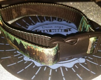 supernatural cat collar