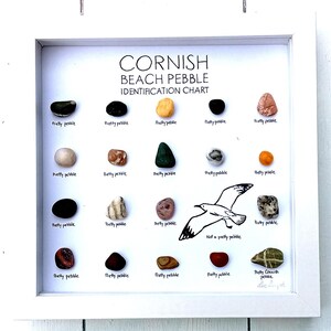 Pebble Identification Pebble Beach Chart - Etsy