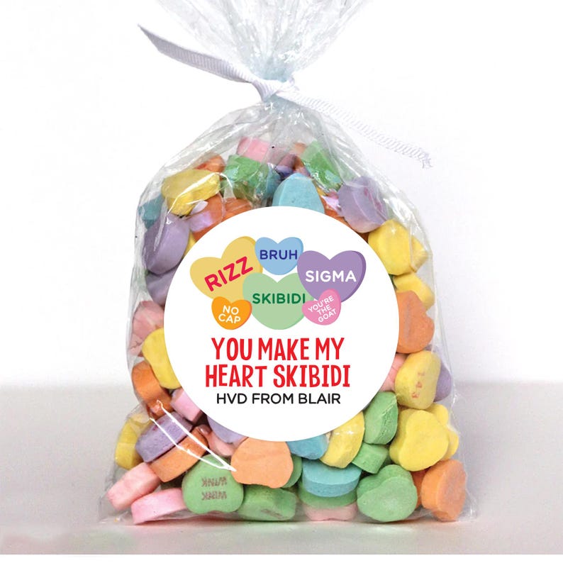 May include: A white circle sticker with red, green, and blue hearts with text on each heart. The text on the hearts reads "Rizz", "Bruh", "Skibidi", "Sigma", and "You're the Goat". The sticker also has the text "You make my heart Skibidi" in red text and "HVD from Blair" in black text.