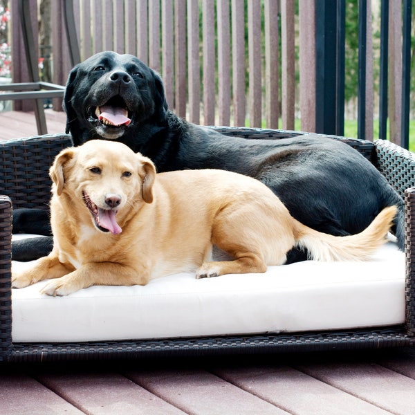 Raised Dog beds, Pet beds for dogs and cats, Rattan dog beds, dog furniture, Rectangular dog bed with removable zipper cushion- 3 sizes