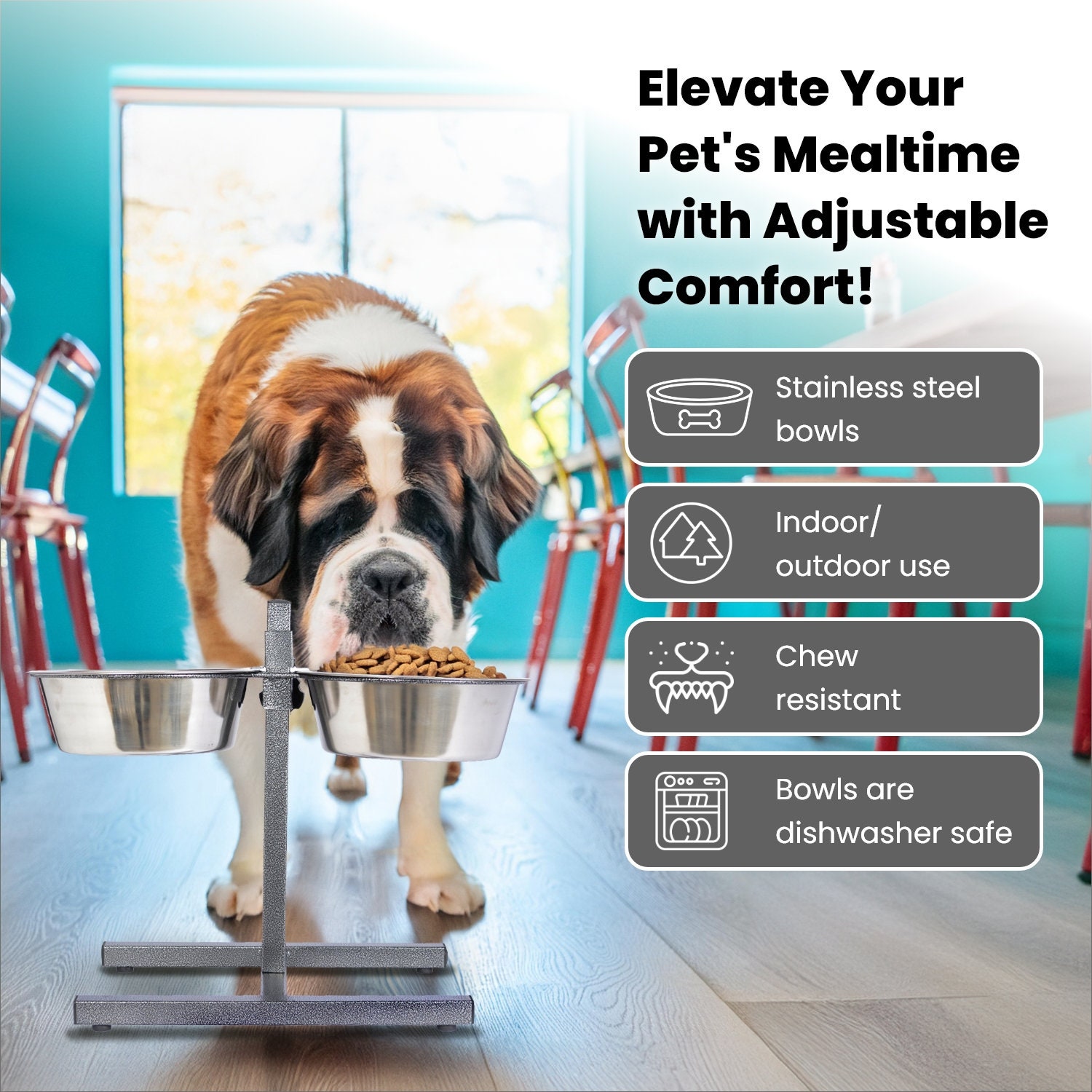 best fromm dog food for skin allergies Fromm Classic Adult Formula Dry Dog Food