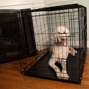 Dog wire crates, Foldable dog cages,  pet cages with Double Door, Pet Dog Cat Training Crate with Divider and plastic bottom tray