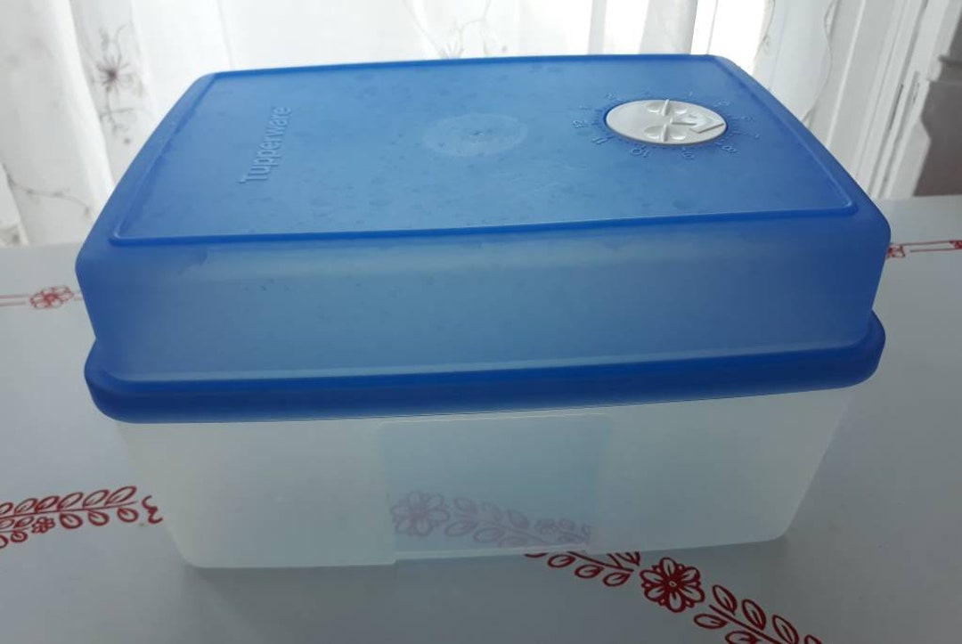 Tupperware 1/2 Gallon Ice Cream Keeper Smart Dial Blue 4562A Etsy