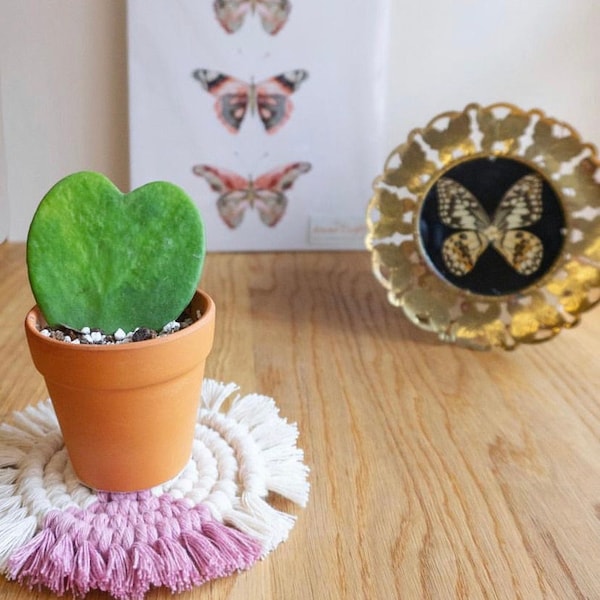 Two-Toned Macrame Coasters, Bright Home Decor, Boho Desk Accessories, Cute Office Decor, Housewarming Gift