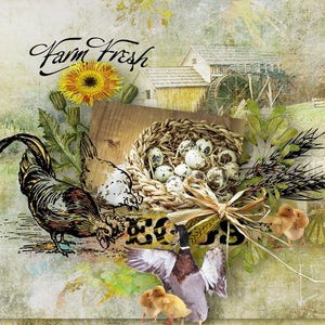 Puede incluir: Una ilustración de estilo vintage de una escena de granja con un gallo, una gallina, patitos y un nido de huevos de codorniz. El texto "Farm Fresh" está escrito en una fuente decorativa. La imagen tiene un ambiente rústico y campestre.