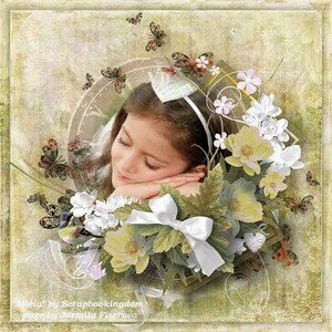 Kit de scrapbooking numérique ALICIA 30 magnifiques embellissements 12 papiers. superbes couleurs d'automne feuillage, fleurs, papillons, art des mots