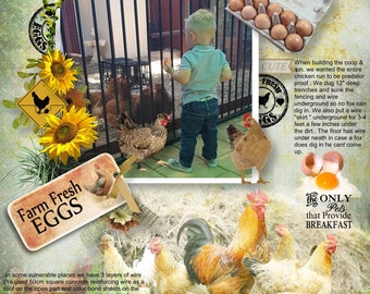 Back Yard Chickens digital scrapbook kit- mega size with 98 embellishments & 16 papers