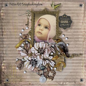 Kit per scrapbooking digitale PATRIA Colori versatili 62 colori e 13 carte