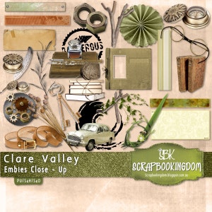Scrapbook Kit Masculine and Feminine embellishments CLARE VALLEY , full digital scrapbooking kit foliage, jewelery, frames, buttons, books image 5