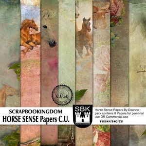 HORSE SENSE A Rare find for horse lovers. Horse scenes all paper. C .U. Digital Scrapbook Papers horse riding, beautiful scrapbook kit image 1