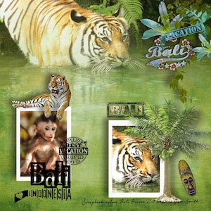 Holiday destination Bali Scrapbook kit BALI BREEZE tiger, elephant, Balinese embellishments, flowers , stamps vacation scrapbook