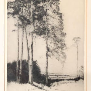 John George Mathieson - Trees Vintage Etching Framed Scottish Landscape ...