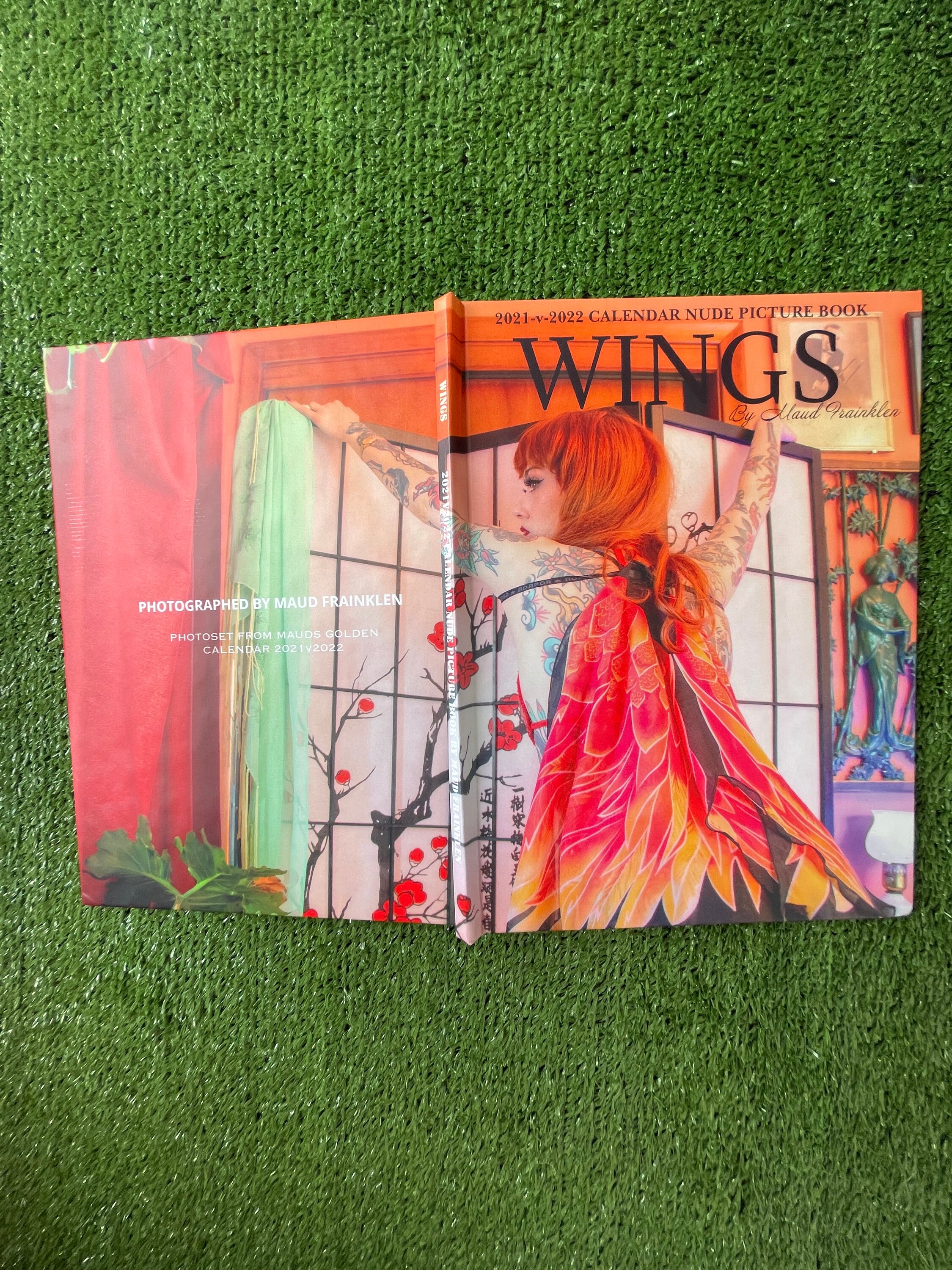 WINGS Picture Book 1/13 Etsy
