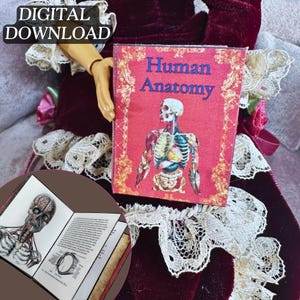 Printable Human Anatomy Miniature Book with Pages DIY Project| Quick Craft| Mini Skull Reference Book, 1/6 Scale Scene, PDF Digital Download