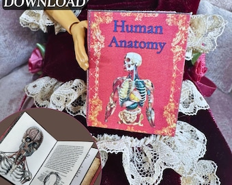 Printable Human Anatomy Miniature Book with Pages DIY Project| Quick Craft| Mini Skull Reference Book, 1/6 Scale Scene, PDF Digital Download