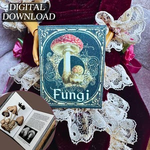 May include: A vintage-style illustration of a red and white mushroom with the word "Fungi" printed below. The illustration is framed in a gold and black ornate border. The image is held by a hand wearing a red velvet dress with lace trim.