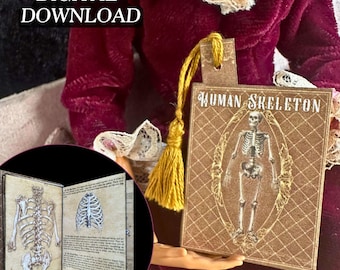 Printable Human Skeleton Miniature Book with Inside Pages | DIY Quick Craft| Mini Skull Reference, 1/6 Scale Anatomy, PDF Digital Download