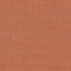 May include: Close-up of a textured fabric in a warm, earthy terracotta color. The fabric has a ribbed or corduroy-like pattern, with vertical lines creating a subtle texture. The overall appearance is soft and inviting.