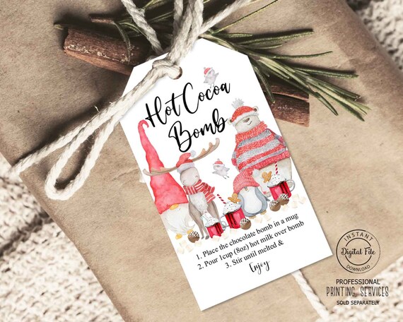 Hot Chocolate Bomb Instructions Tag, Christmas Hot Cocoa Bomb Tag, Christmas Mug Favor Tag Printable, Teachers Gift Tag, You're the Bomb Il_570xn