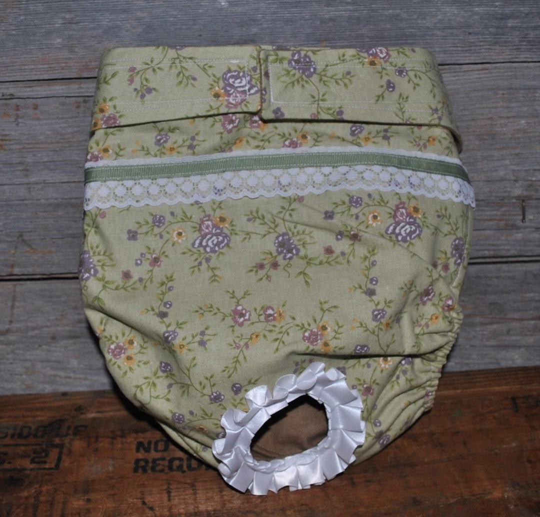 Dog Diaper. Dog in Season Diaper. Dog Panty. Vintage Green Etsy