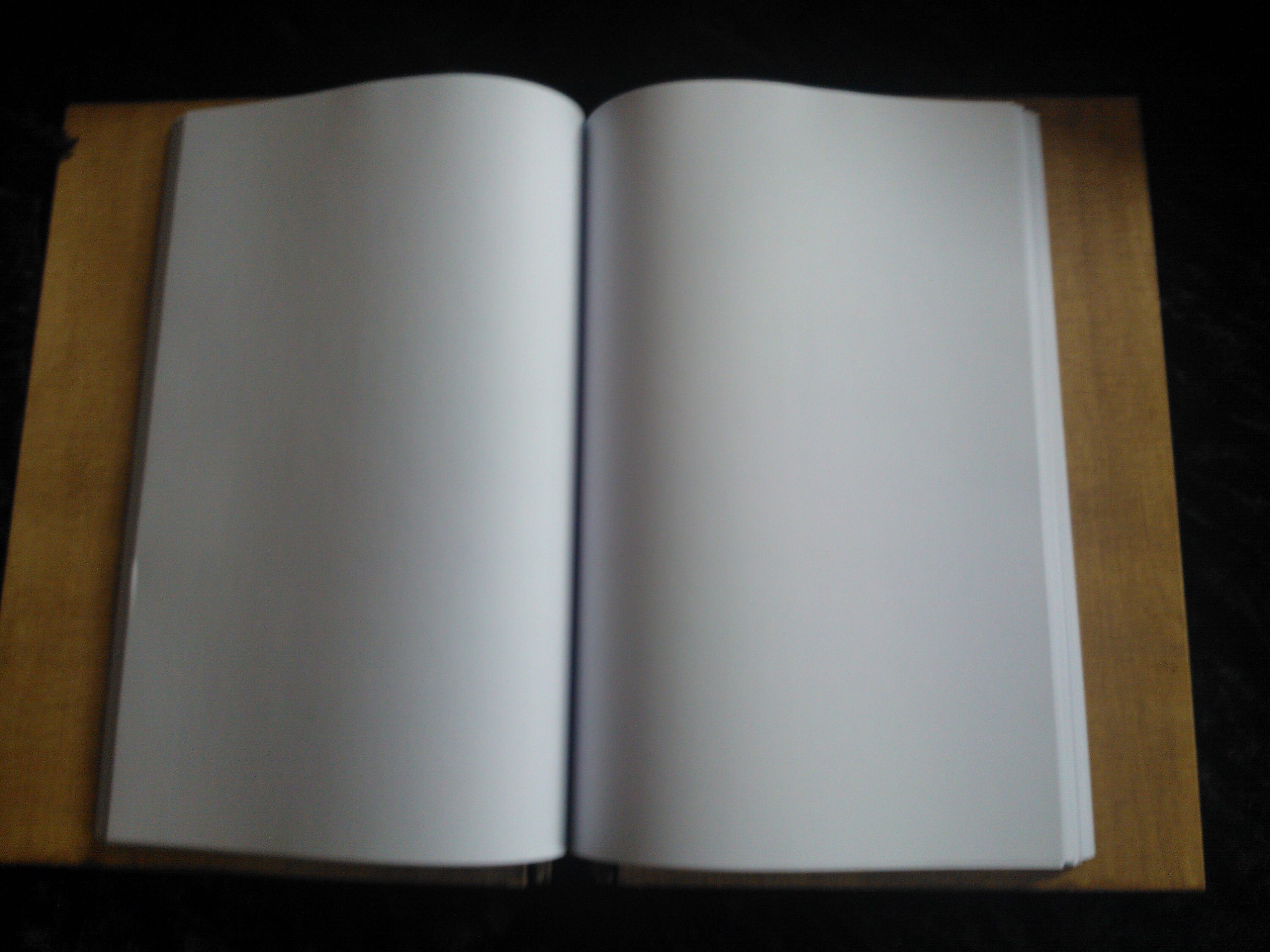 Book of Shadows, Handmade Wooden With Pagan Design and Blank Pages. - Etsy