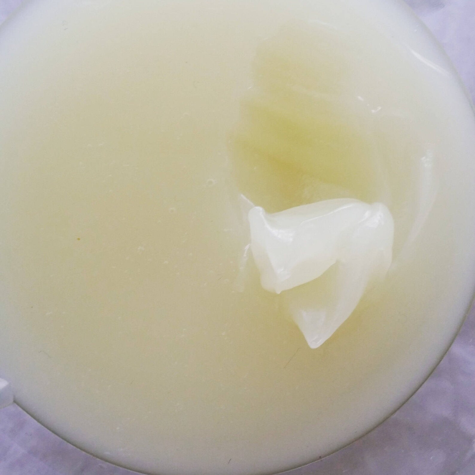 Premium Body Jelly Etsy