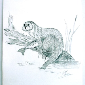 Vintage Pen and Ink OOAK Drawing of an Otter Riverside Scene Riverscape Wild Animal Painting