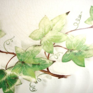 Puede incluir: Un plato de cer&aacute;mica blanco con un dise&ntilde;o de hiedra verde y blanca. Las hojas de hiedra est&aacute;n pintadas en un estilo realista y tienen una apariencia delicada, casi como acuarela.
