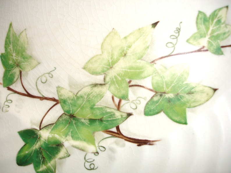 Puede incluir: Un plato de cer&aacute;mica blanco con un dise&ntilde;o de hiedra verde y blanca. Las hojas de hiedra est&aacute;n pintadas en un estilo realista y tienen una apariencia delicada, casi como acuarela.