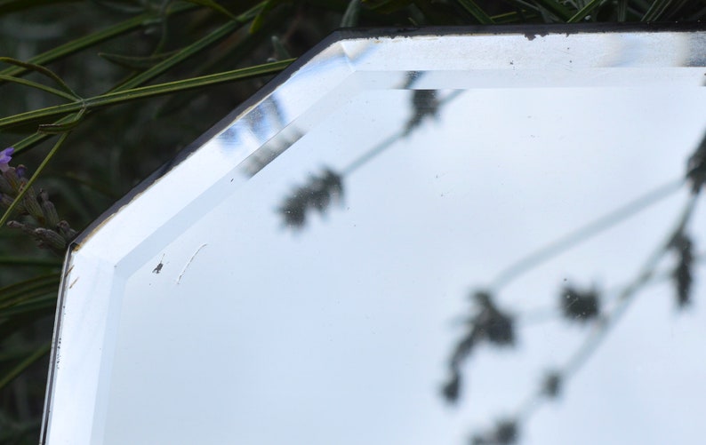 May include: A close-up of a octagonal mirror with a silver frame. The mirror is reflecting the shadows of plants.