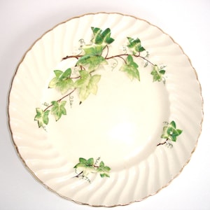 Plato de cena vintage Royal Wessex Swinnertons imagen 1