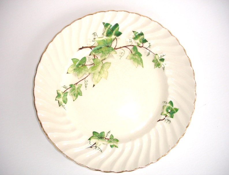 Plato de cena vintage Royal Wessex Swinnertons imagen 1