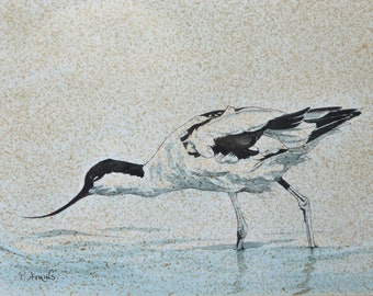 Avocet Vintage Acuarela Philippa Atkins Wading Bird Vintage Art OOAK Pintura Vintage Acuarela Pintura Vintage Wildlife Painting