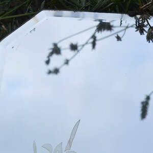 May include: A close-up of a decorative mirror with a beveled edge. The mirror is reflecting a blurry image of lavender flowers and a blue sky.